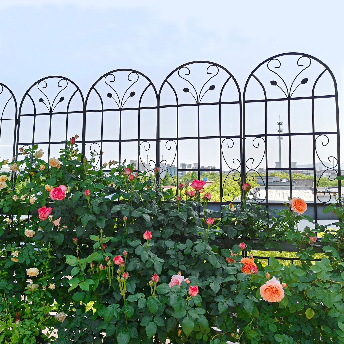 2 Pack Metal Garden Trellis 86.7' x 19.7' Rustproof Trellis for Climbing Plants Outdoor Flower Support Black