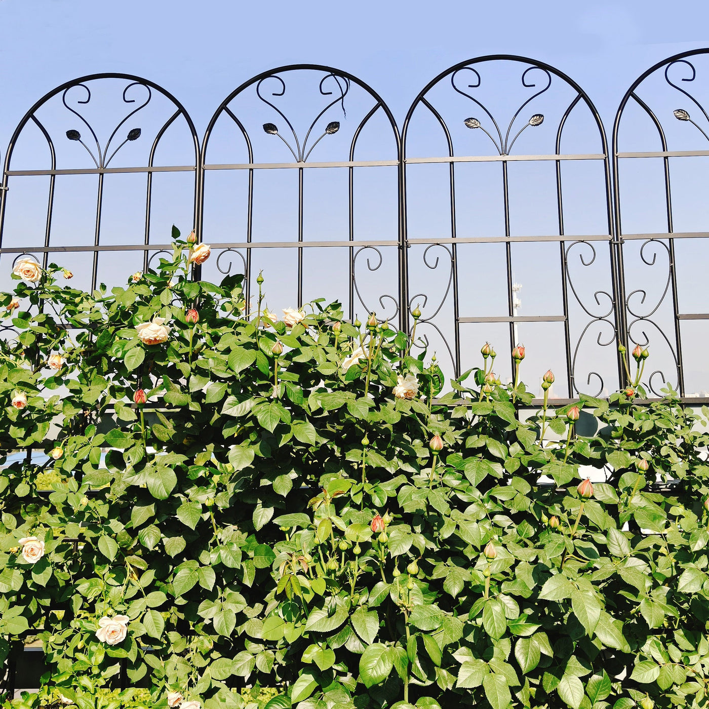2 Pack Metal Garden Trellis 86.7' x 19.7' Rustproof Trellis for Climbing Plants Outdoor Flower Support Black