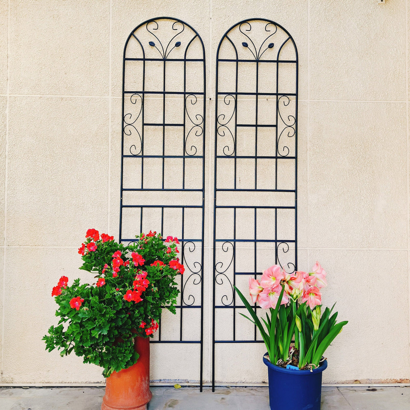 2 Pack Metal Garden Trellis 86.7' x 19.7' Rustproof Trellis for Climbing Plants Outdoor Flower Support Black